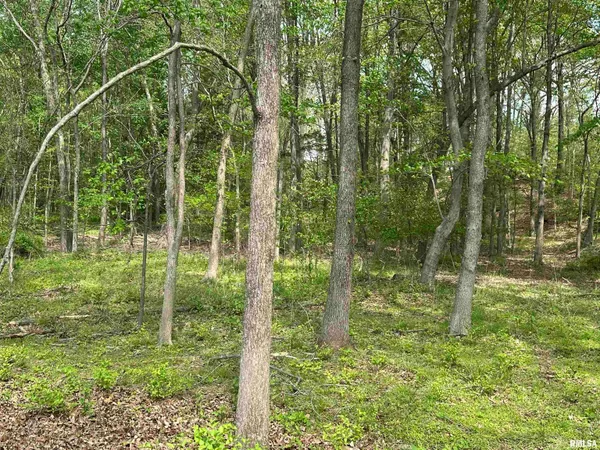 $209,000 | 127 Weisbrook Lane, Carterville, IL 62918