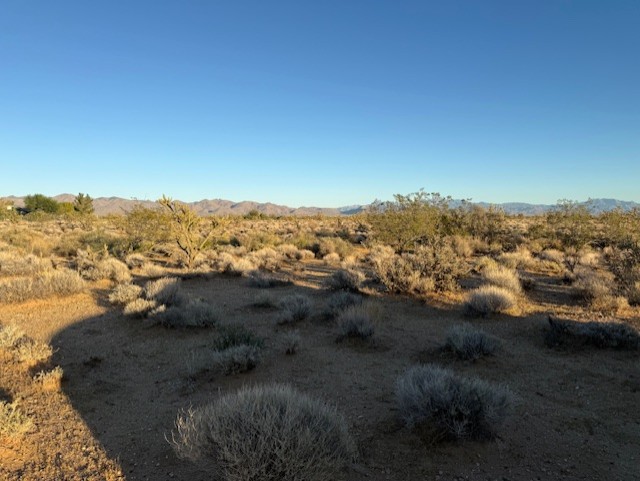 0 Cowlic Road Golden Valley, AZ 86413 - Photo 1 of 4 View of local wilderness with a desert landscape and mountains