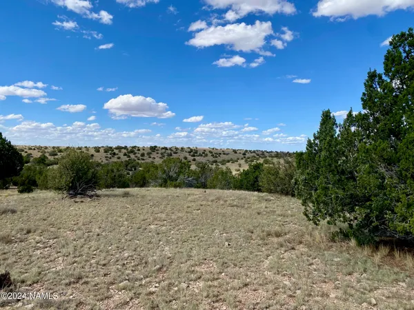 $60,000 | 5733 West Clove Hitch Road, Unit 356, Williams, AZ 86046