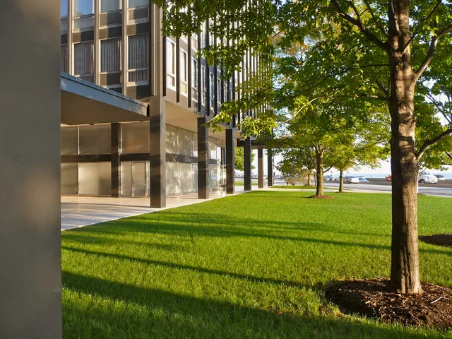 a view of a trees in front of a building