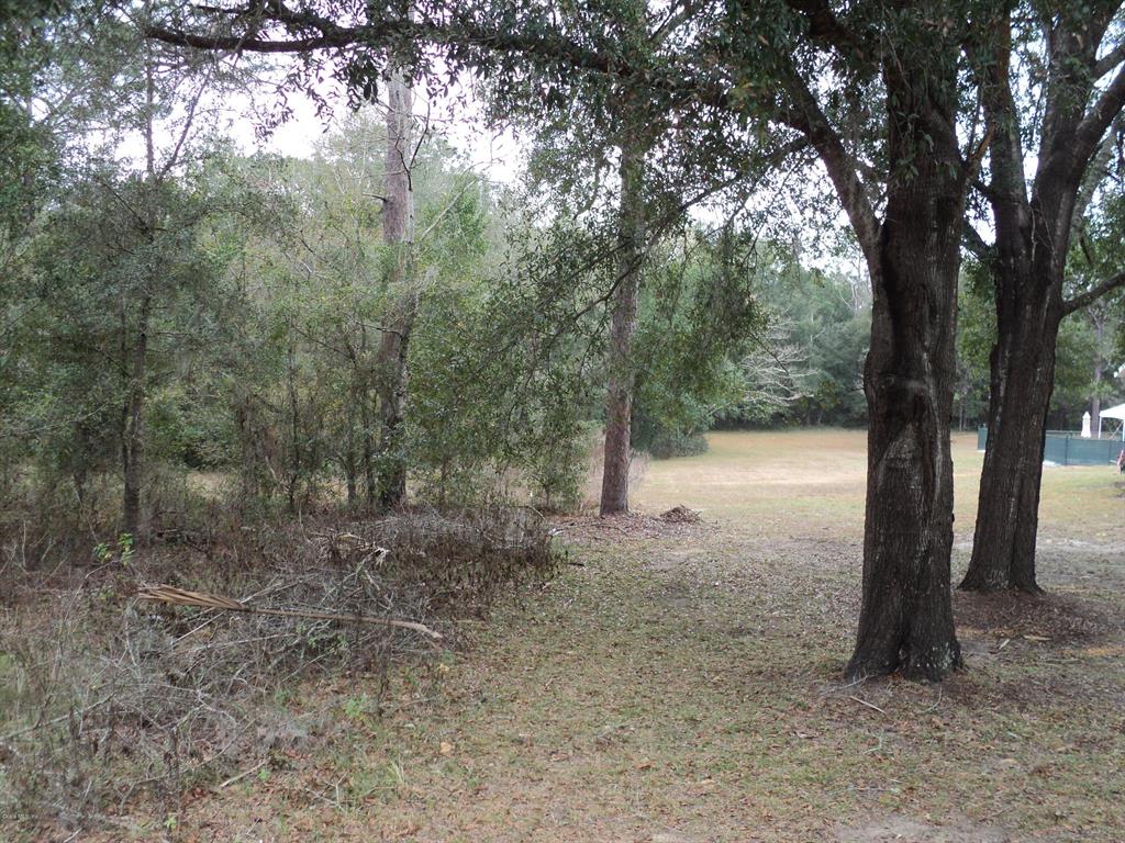 0 Southwest 209th Ct Road, Unit 38 Dunnellon, FL 34431 - Photo 1 of 1 DSC02357