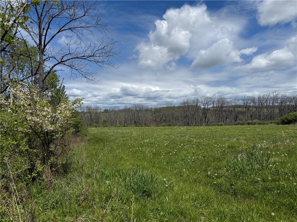 Tucker Road Ithaca, NY 14850 - Photo 14 of 38