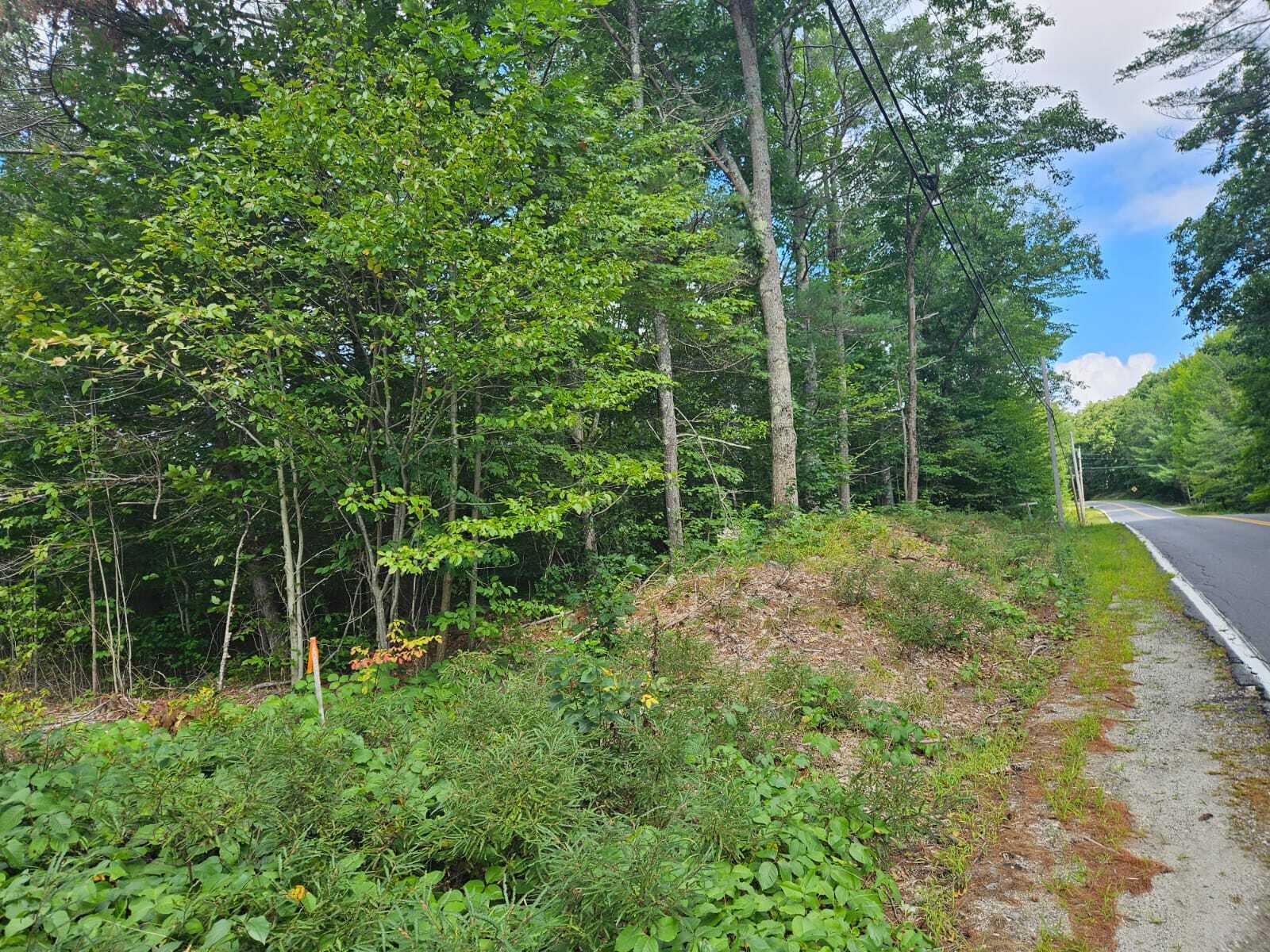 C Adams Road Greene, ME 04236 - Photo 2 of 2 View from Sawyer road