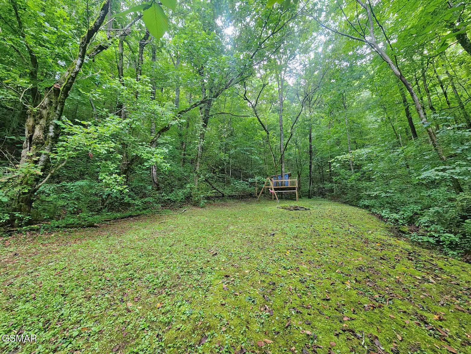 890 Indian Gap Road Sevierville, TN 37876 - Photo 2 of 24 Gallery Image 2