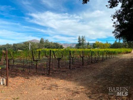 1180 Monticello Road Napa, CA 94558 - Photo 60 of 68
