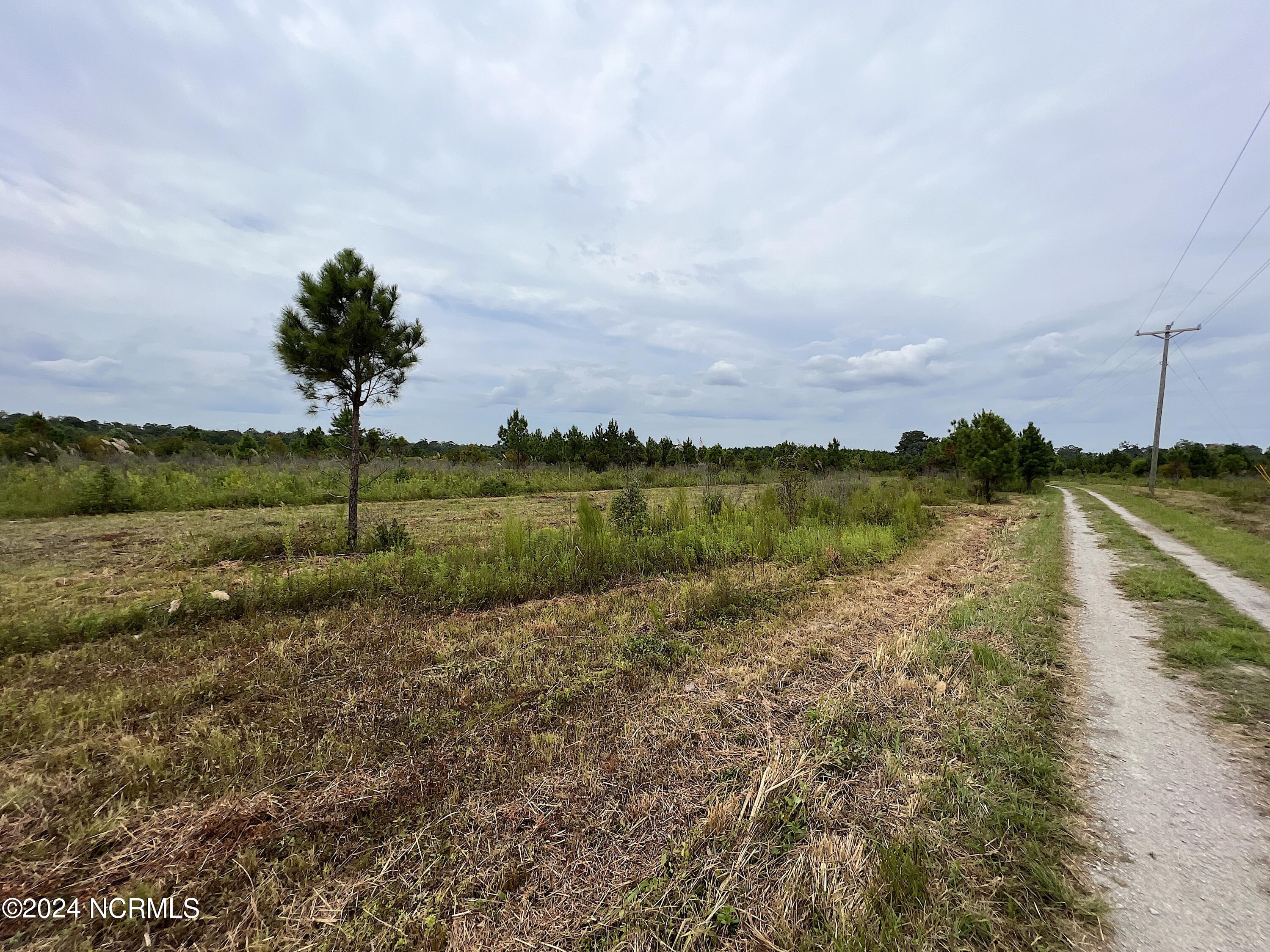 C Tebo Road New Bern, NC 28562 - Photo 10 of 26 IMG_5089