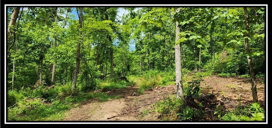0 Featherstone Road Stewart, OH 45778 - Photo 27 of 72 image028