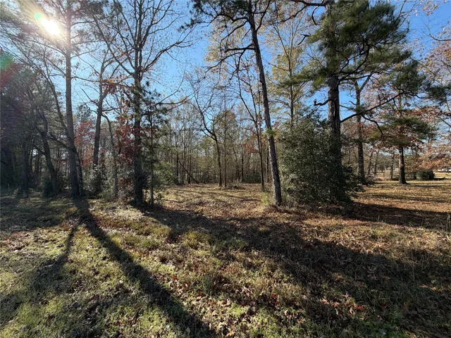 $50,000 | Tbd Overland Trail, Trinity, TX 75862