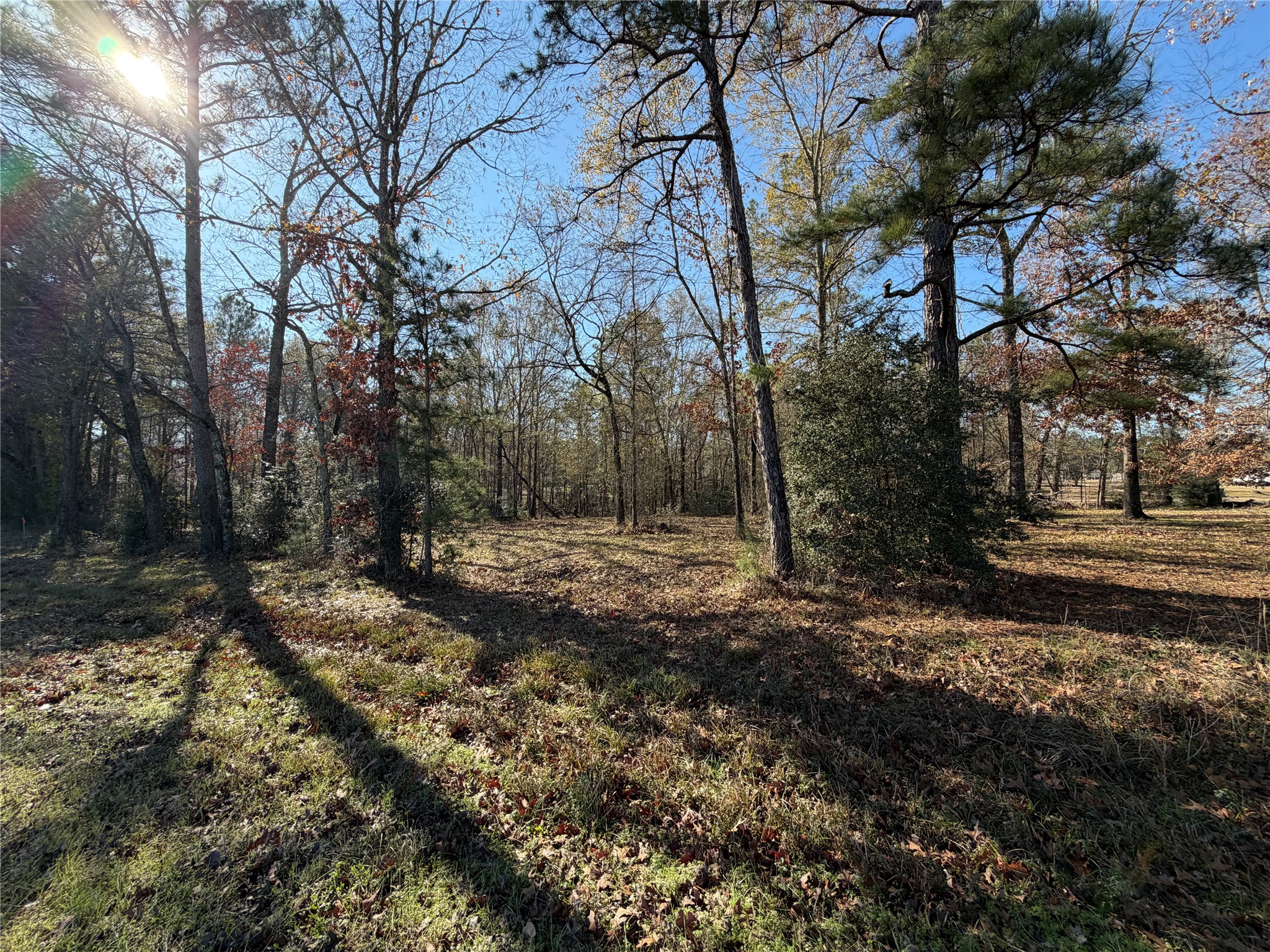 Tbd Overland Trail Trinity, TX 75862 - Photo 4 of 6 a view of backyard with green space
