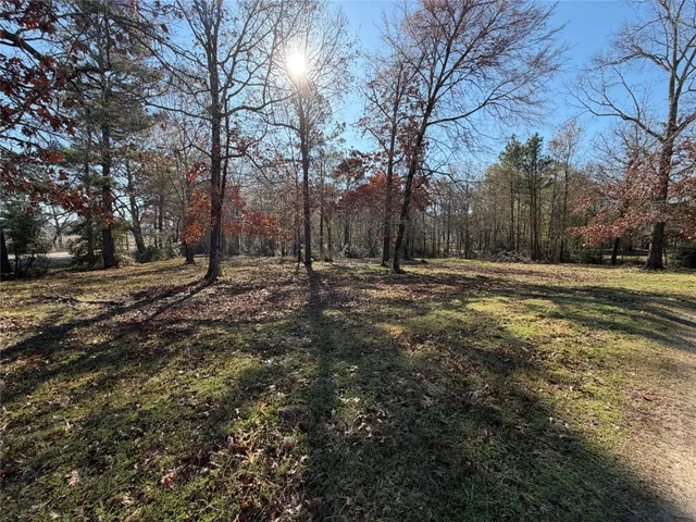 $50,000 | Tbd Overland Trail, Trinity, TX 75862
