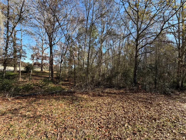 $50,000 | Tbd Overland Trail, Trinity, TX 75862