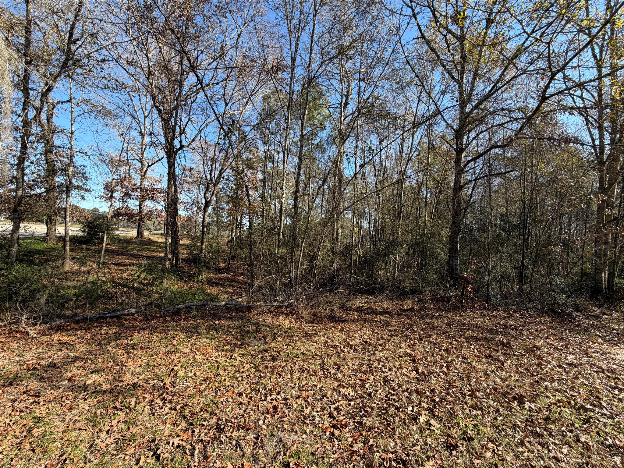Tbd Overland Trail Trinity, TX 75862 - Photo 6 of 6 a view of outdoor space