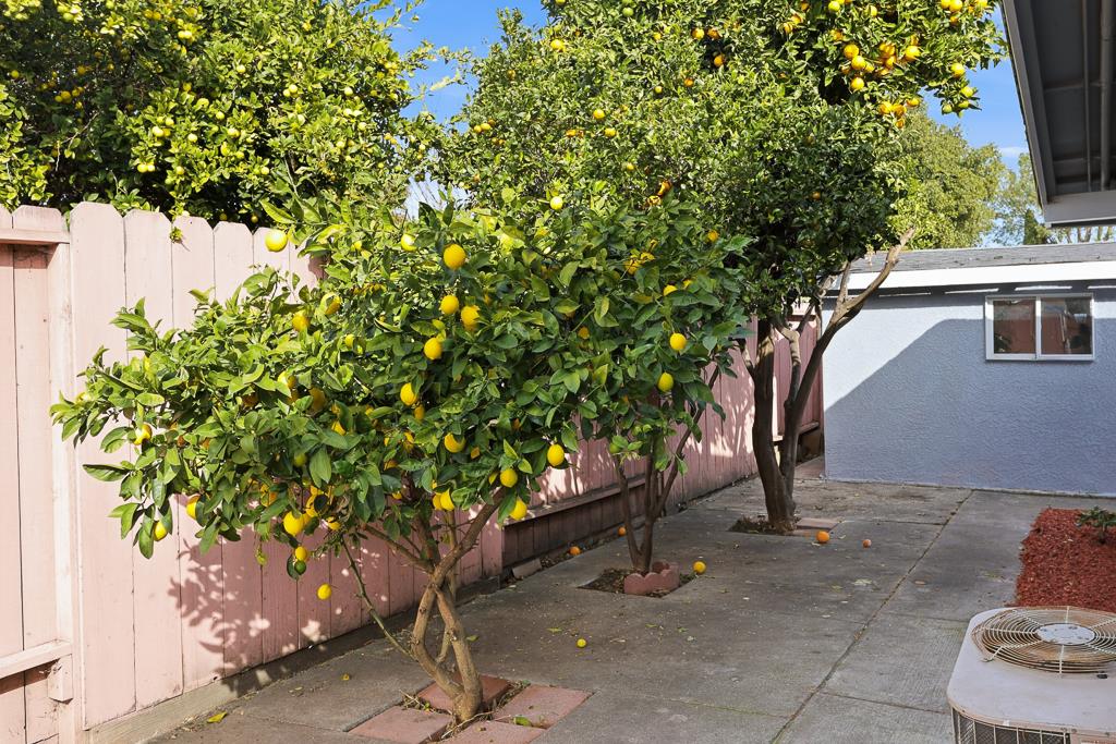 2675 Leeward Street Hayward, CA 94545 - Photo 66 of 75 a house with a tree in the background