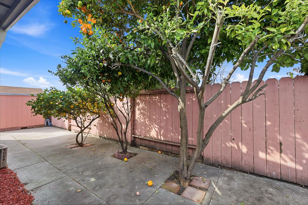 2675 Leeward Street Hayward, CA 94545 - Photo 67 of 75 a view of a yard with plants and trees