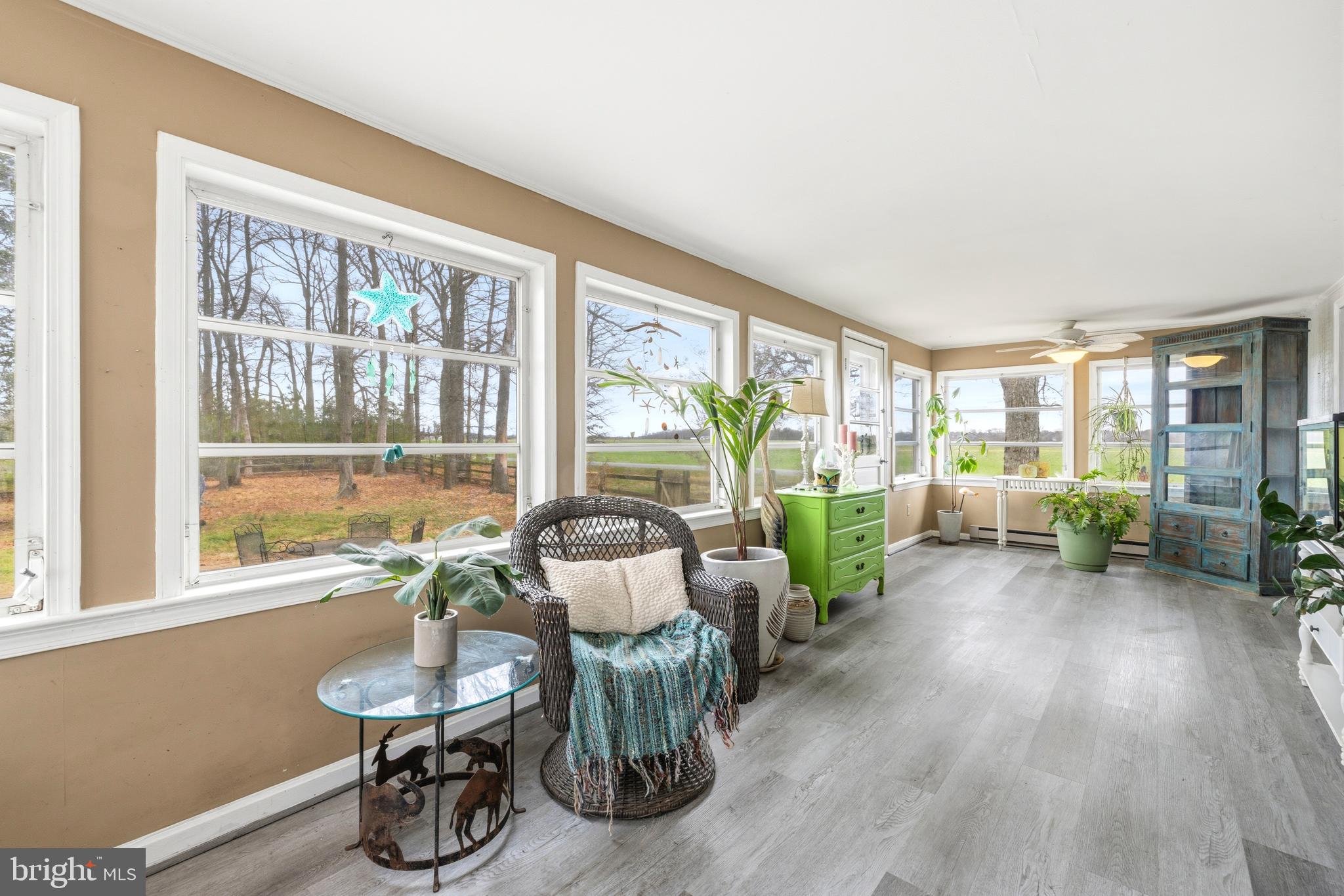 6446 Suicide Bridge Road Hurlock, MD 21643 - Photo 18 of 42