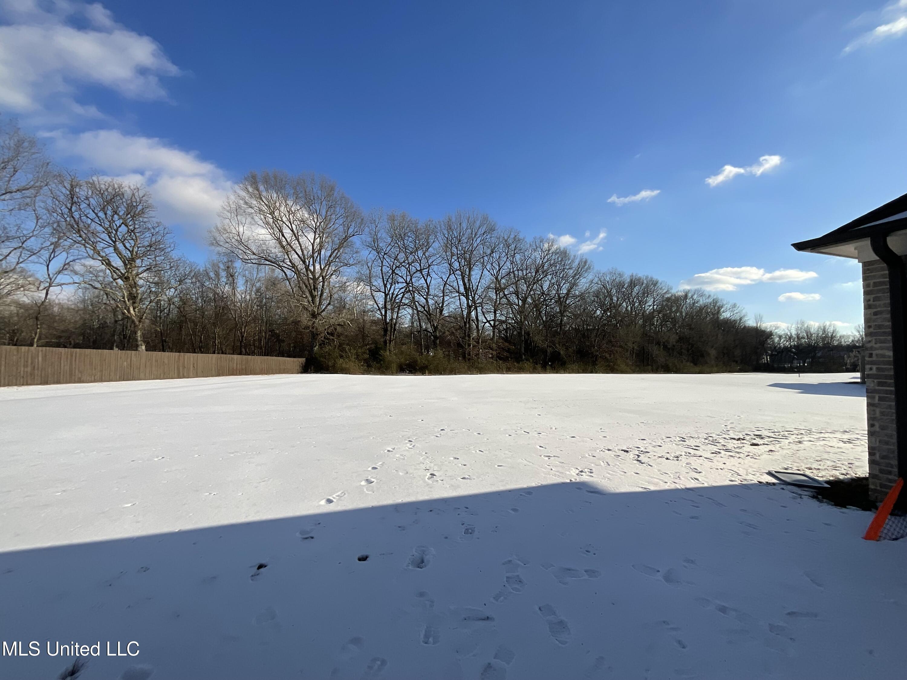 1411 Clair Circle South Hernando, MS 38632 - Photo 20 of 21 IMG_1655