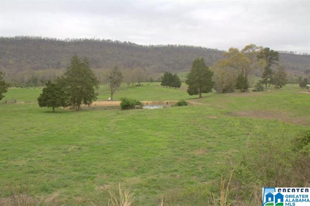 3054 Greensport Road, Unit 141 ACRES Ashville, AL 35953 - Photo 19 of 23