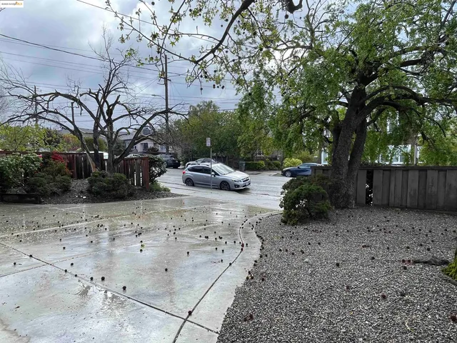 a view of a yard with a tree