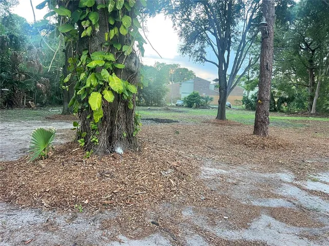 a backyard of a house with lots of green space
