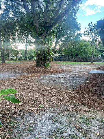a view of a yard with plants and trees