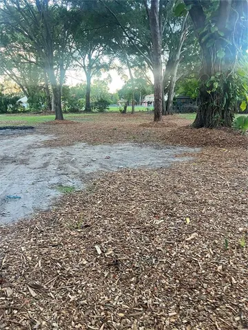 a view of a yard with a trees