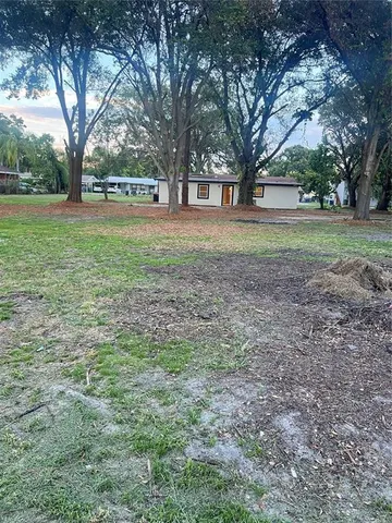 a view of a yard with tree s