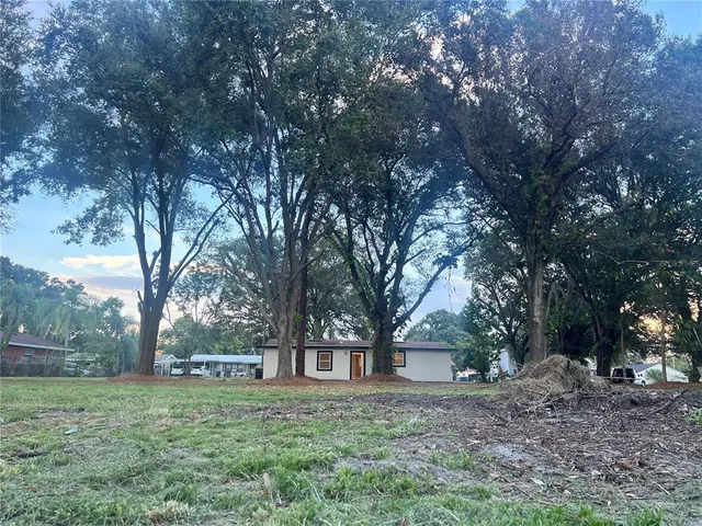 a fire hydrant in middle of the forest