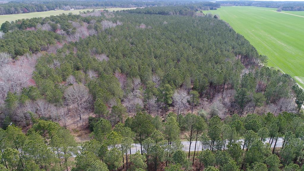0 Drummondtown Road Accomac, VA 23301 - Photo 32 of 50