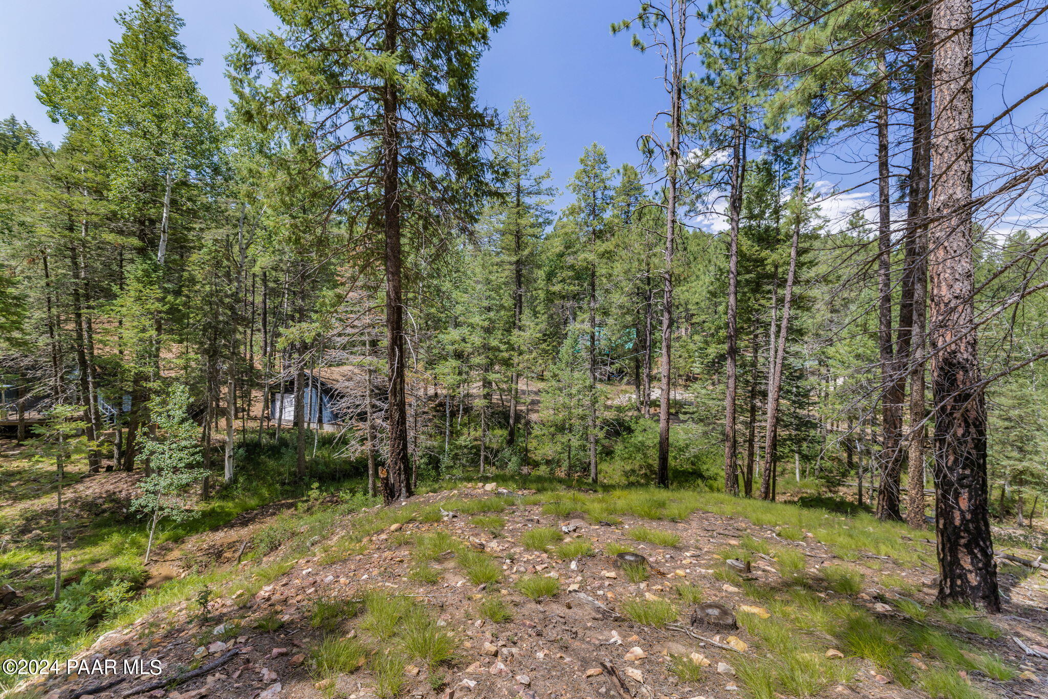 2985 Bluff Road Prescott, AZ 86303 - Photo 1 of 21 6-Lot Photo_6