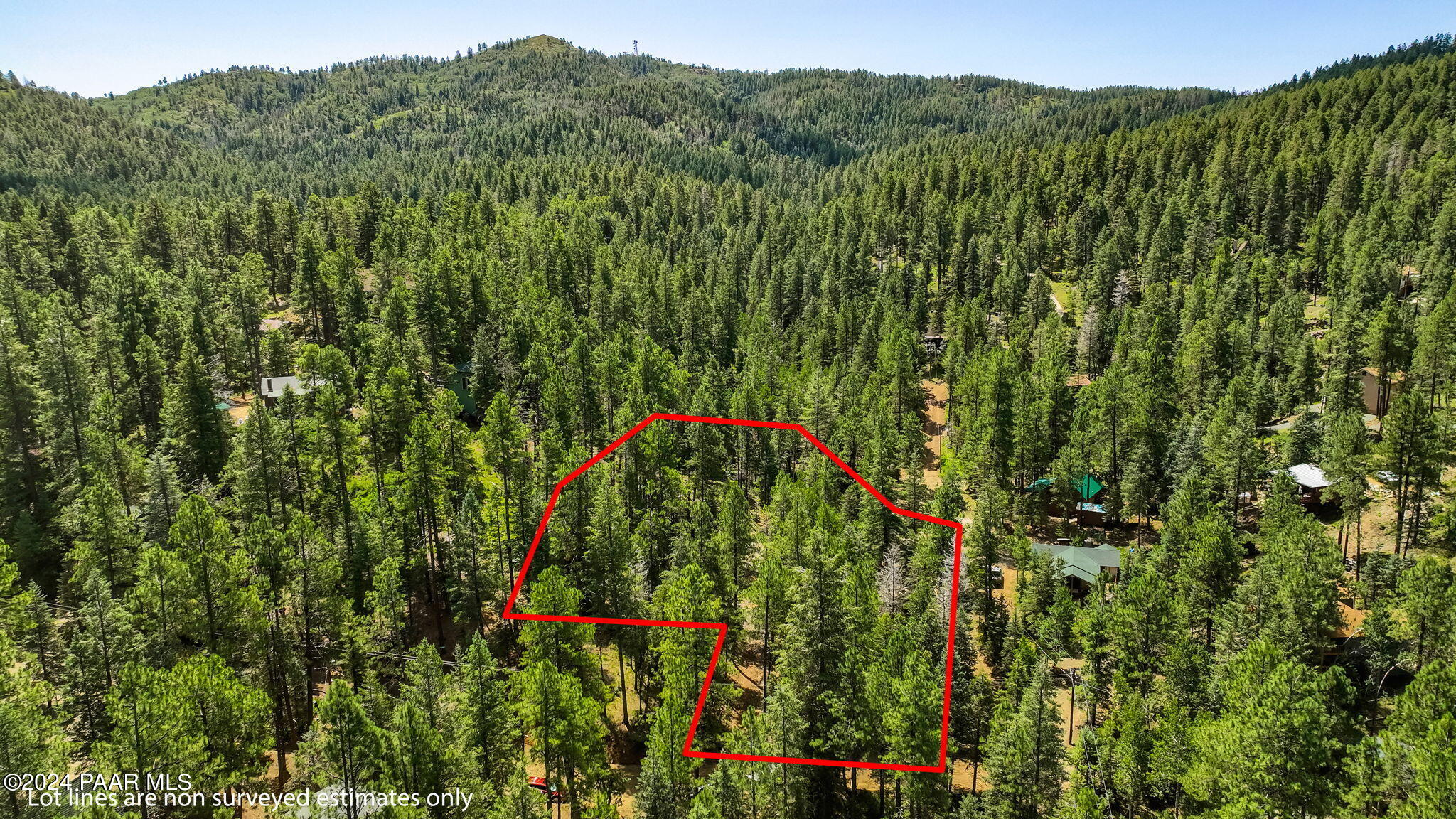 2985 Bluff Road Prescott, AZ 86303 - Photo 11 of 21 11-Aerial_2