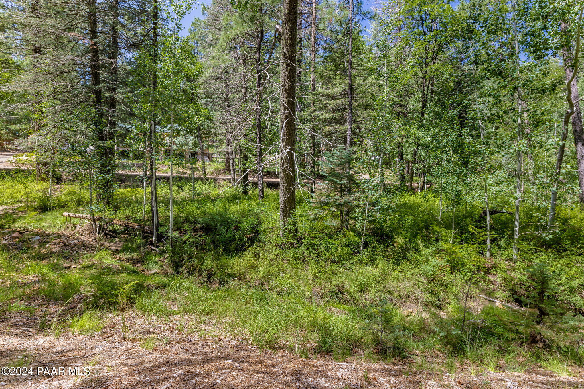 2985 Bluff Road Prescott, AZ 86303 - Photo 2 of 21 3-Lot Photo_3