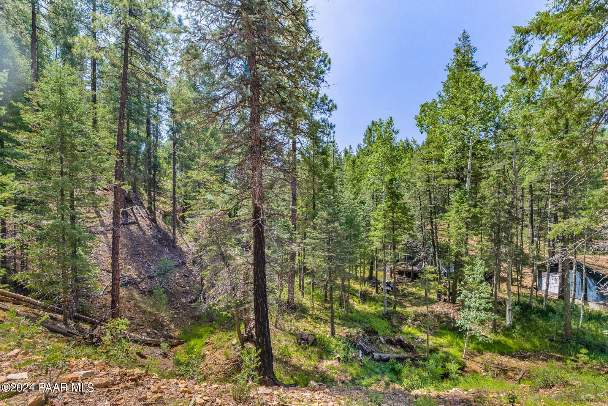 2985 Bluff Road Prescott, AZ 86303 - Photo 4 of 21 5-Lot Photo_5