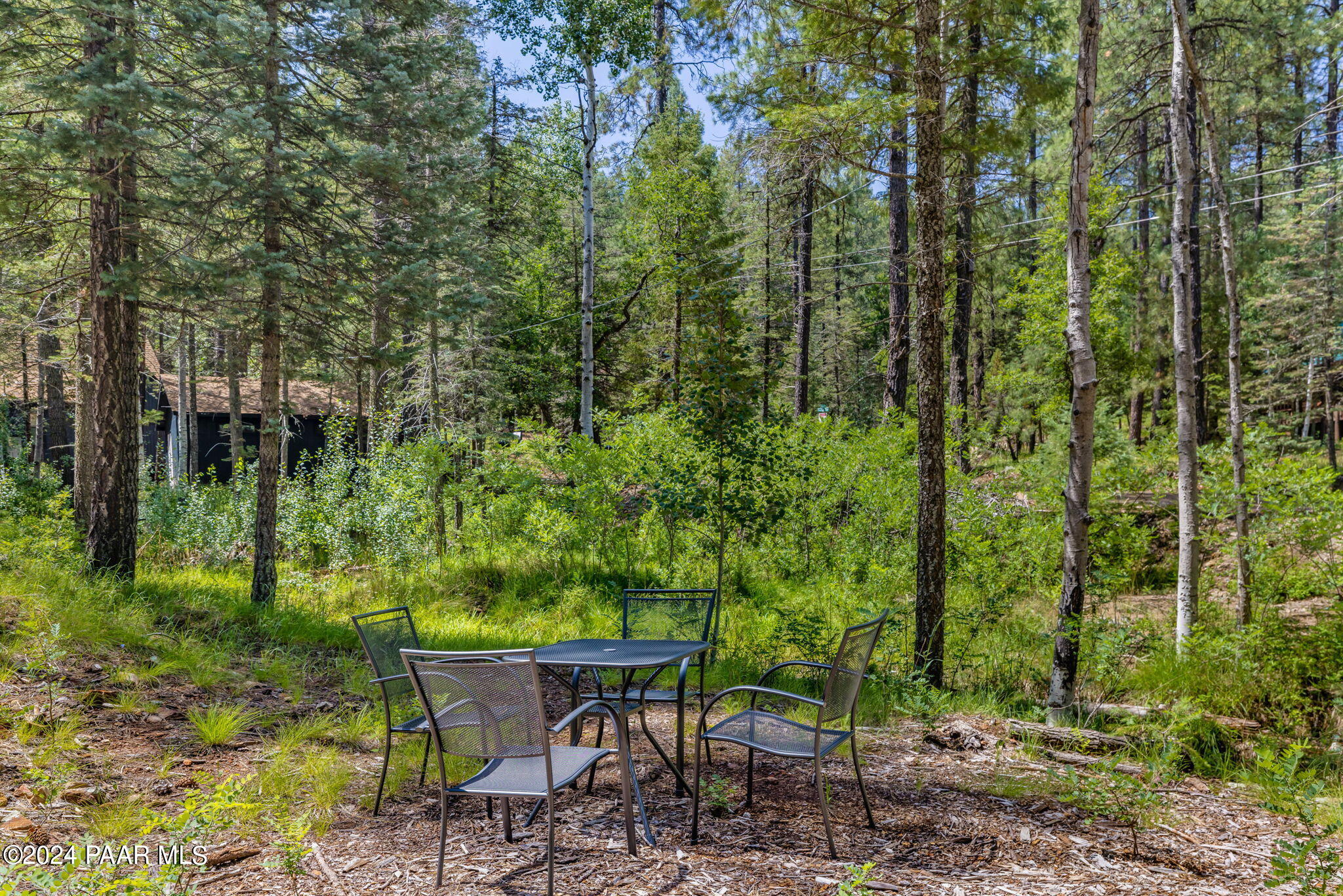 2985 Bluff Road Prescott, AZ 86303 - Photo 5 of 21 4-Lot Photo_4