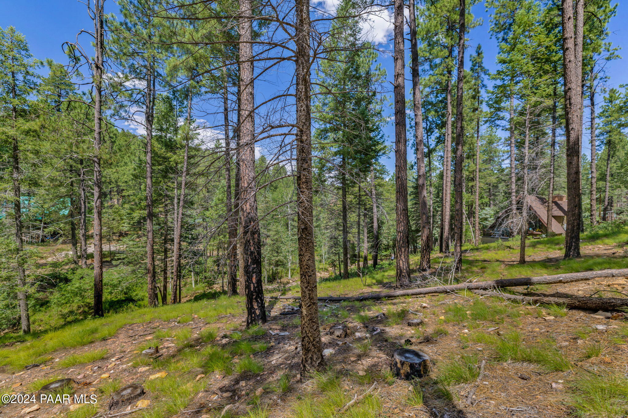 2985 Bluff Road Prescott, AZ 86303 - Photo 6 of 21 7-Lot Photo_7