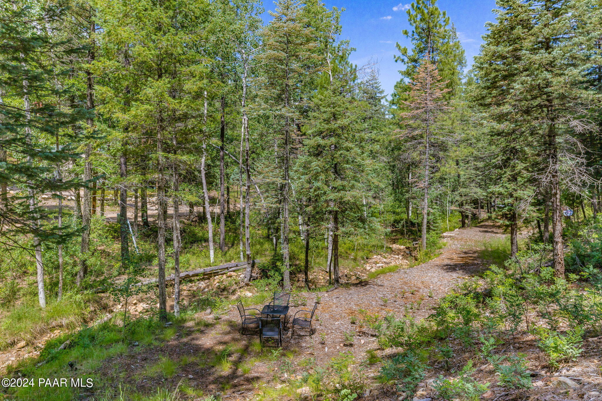 2985 Bluff Road Prescott, AZ 86303 - Photo 7 of 21 8-Lot Photo_8