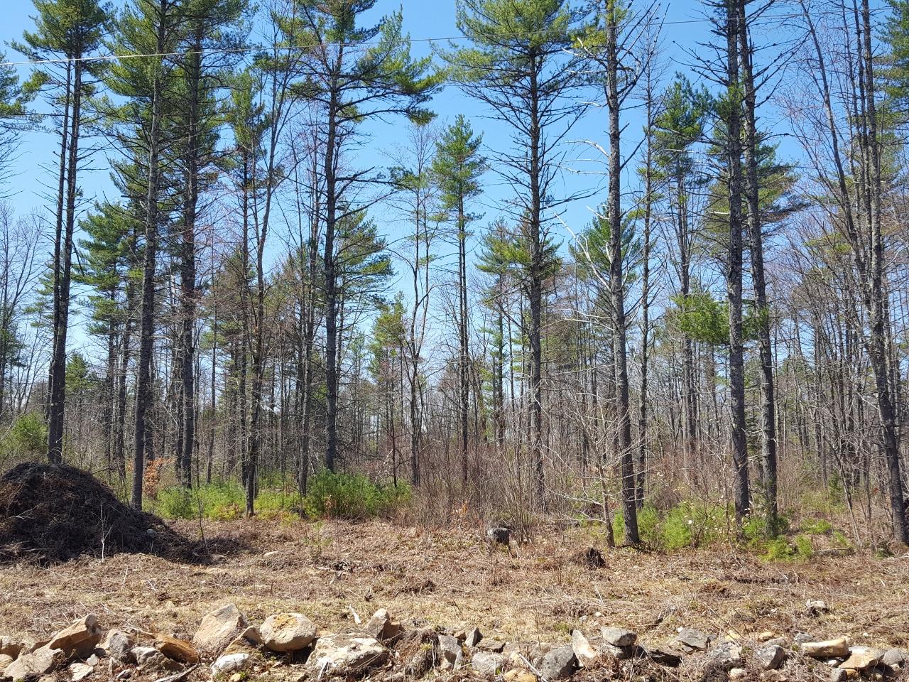 Lot 14-4 Beech Ridge Road North Berwick, ME 03906 - Photo 3 of 8 20190429_121204_001 (1280x960)