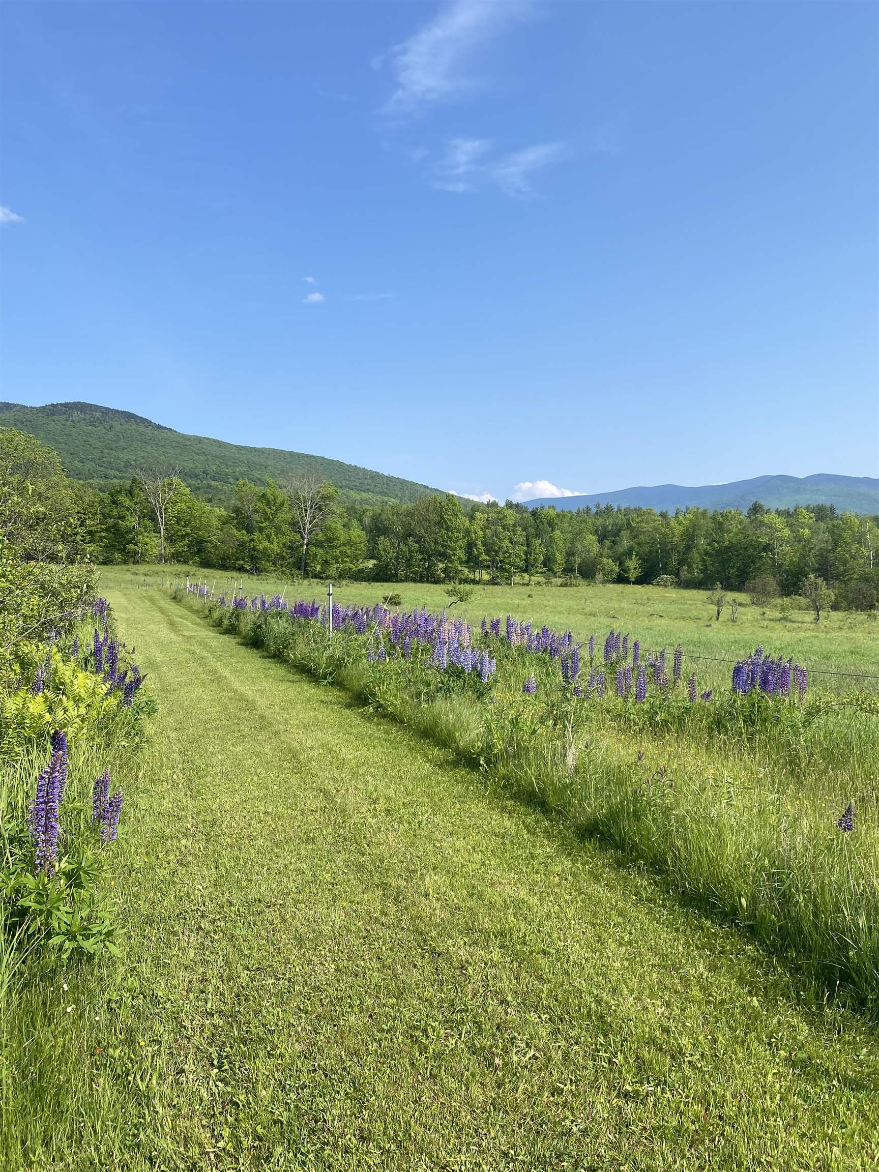 26 Herman Savage Road Northumberland, NH 03584 - Photo 11 of 42
