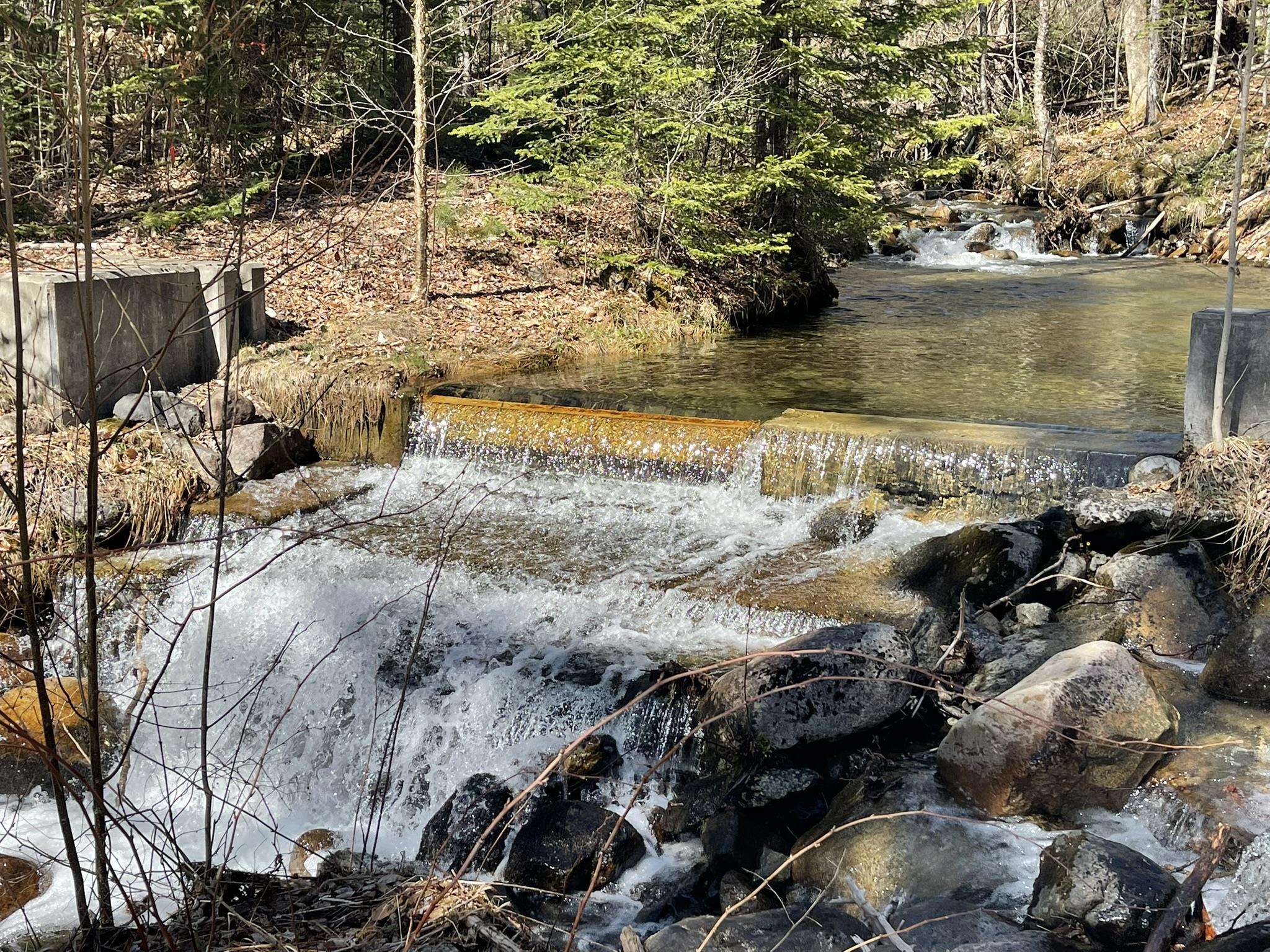 26 Herman Savage Road Northumberland, NH 03584 - Photo 12 of 42