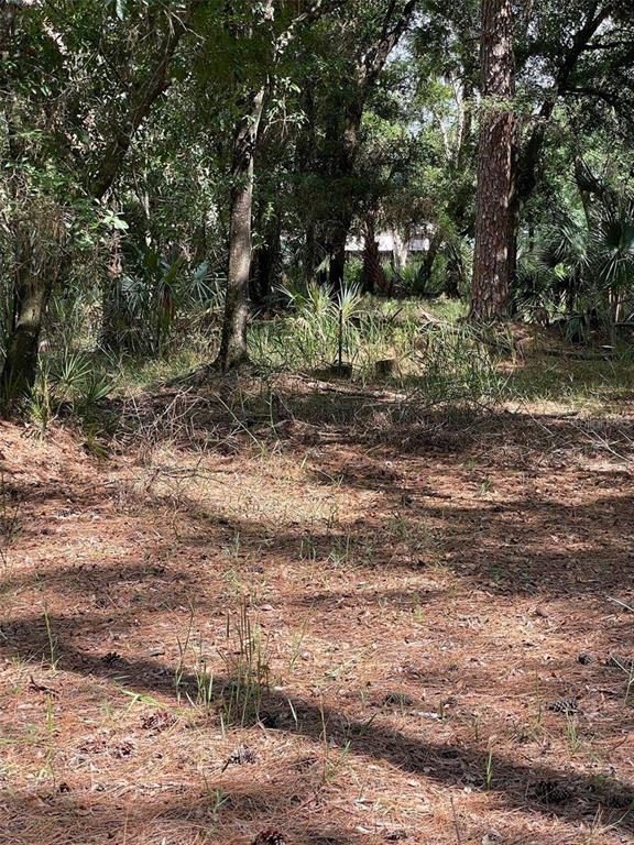 Thunderhead Street Wesley Chapel, FL 33544 - Photo 2 of 3