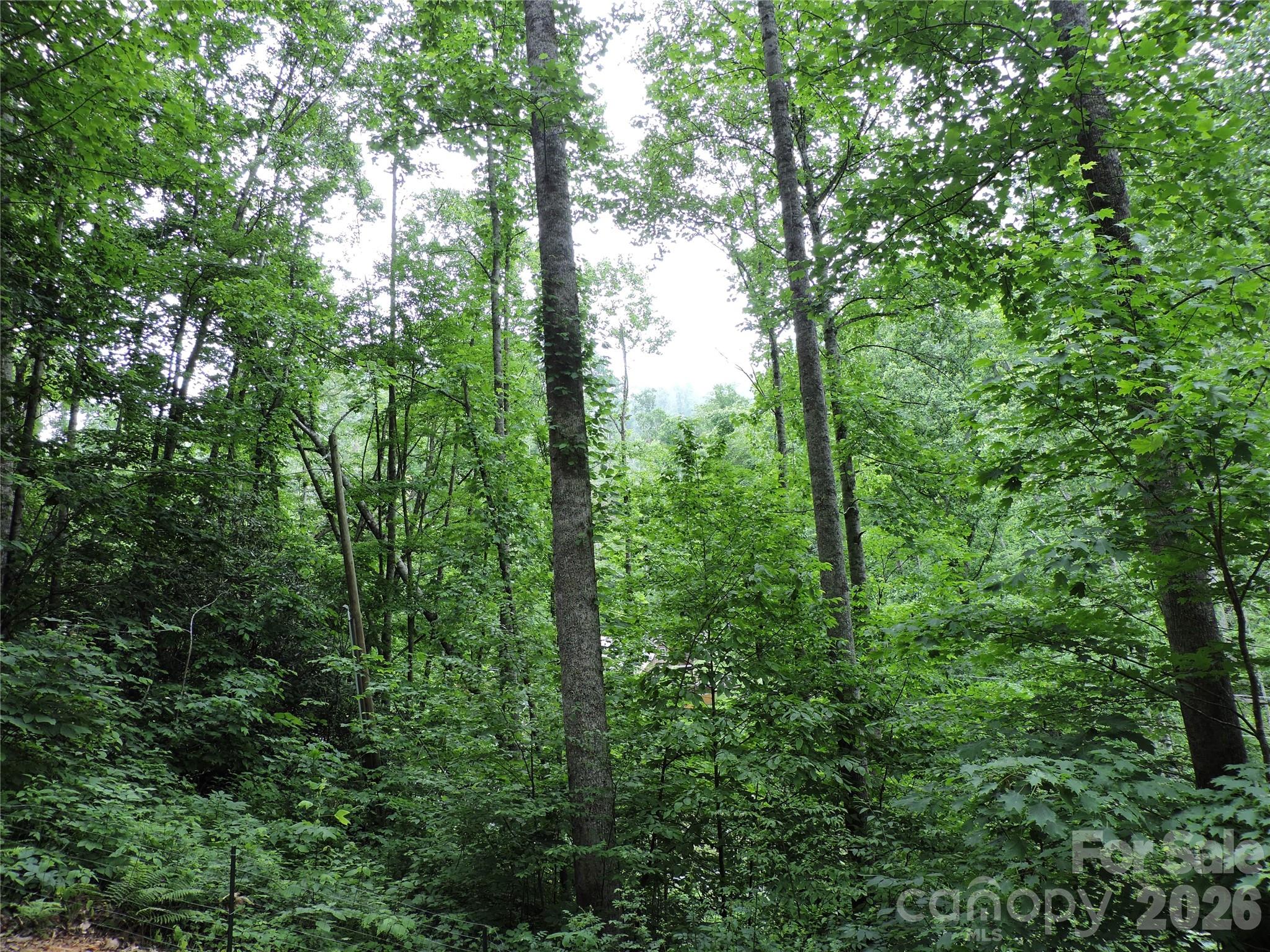 963 Melton Branch Road Bakersville, NC 28705 - Photo 48 of 48