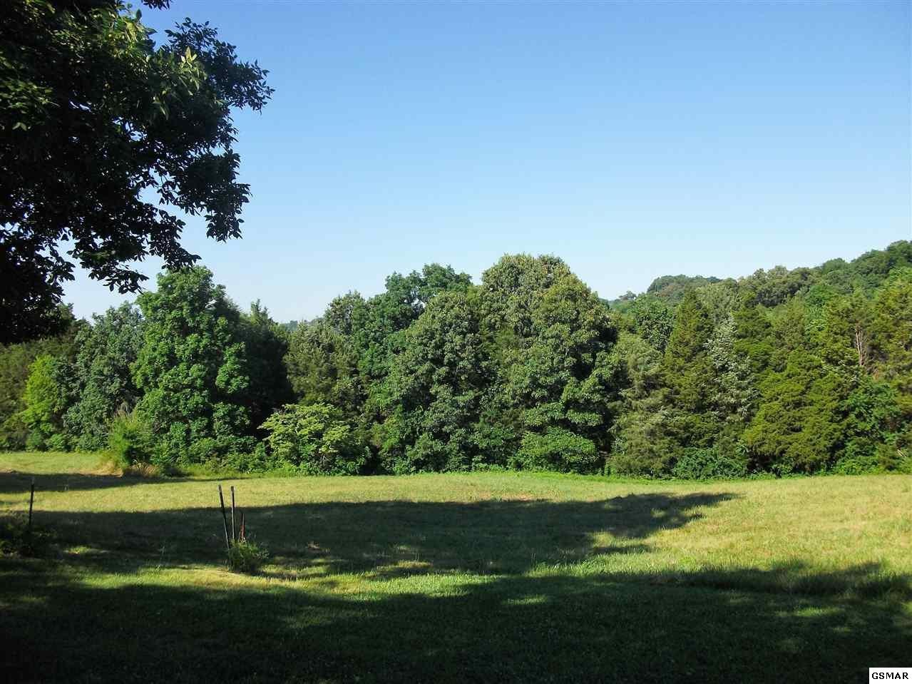 1134 Newman Riley Road Dandridge, TN 37725 - Photo 31 of 33 Gallery Image 31