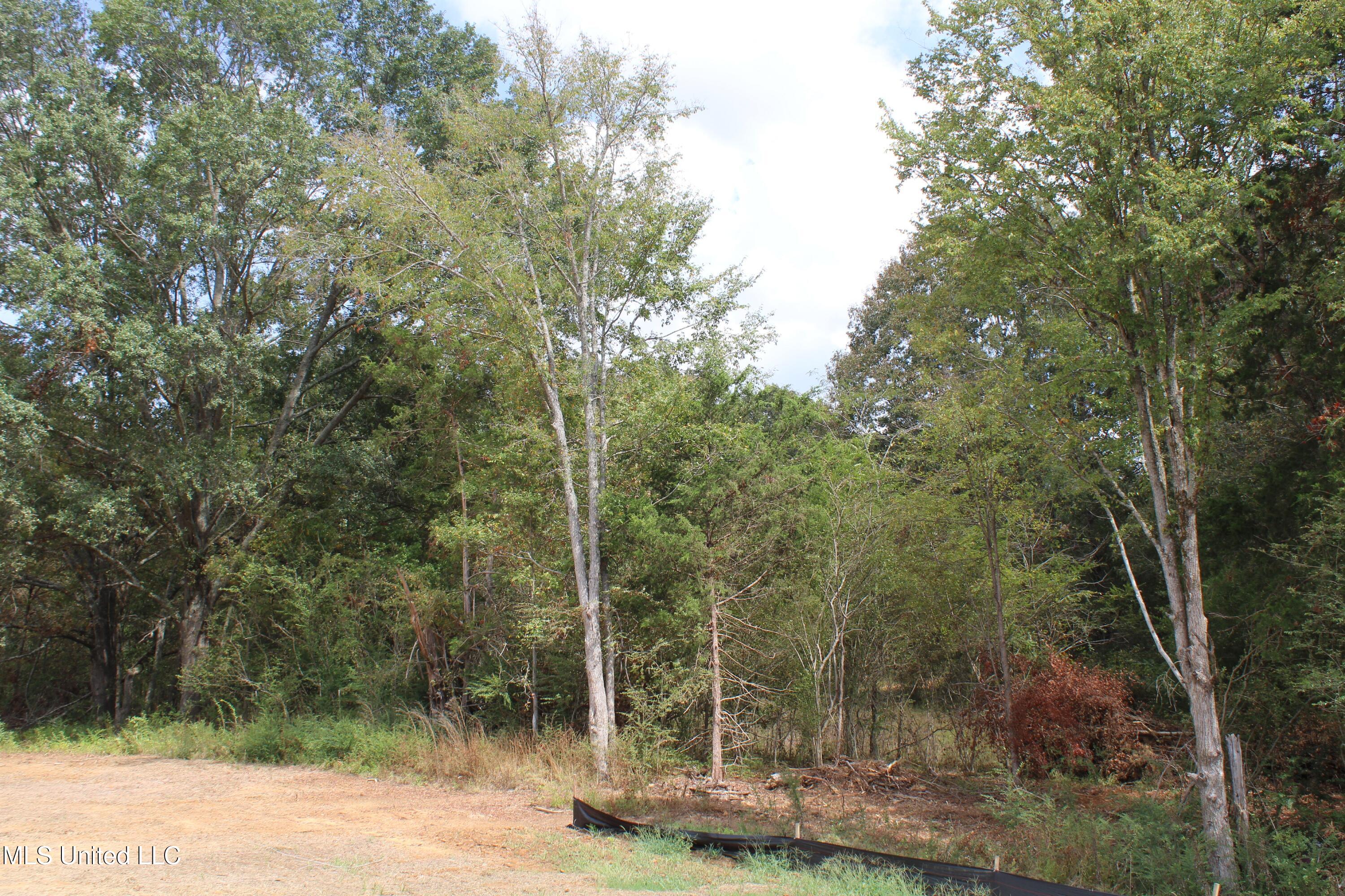 21 Hickory Hollow Road Coldwater, MS 38618 - Photo 42 of 70 IMG_6602