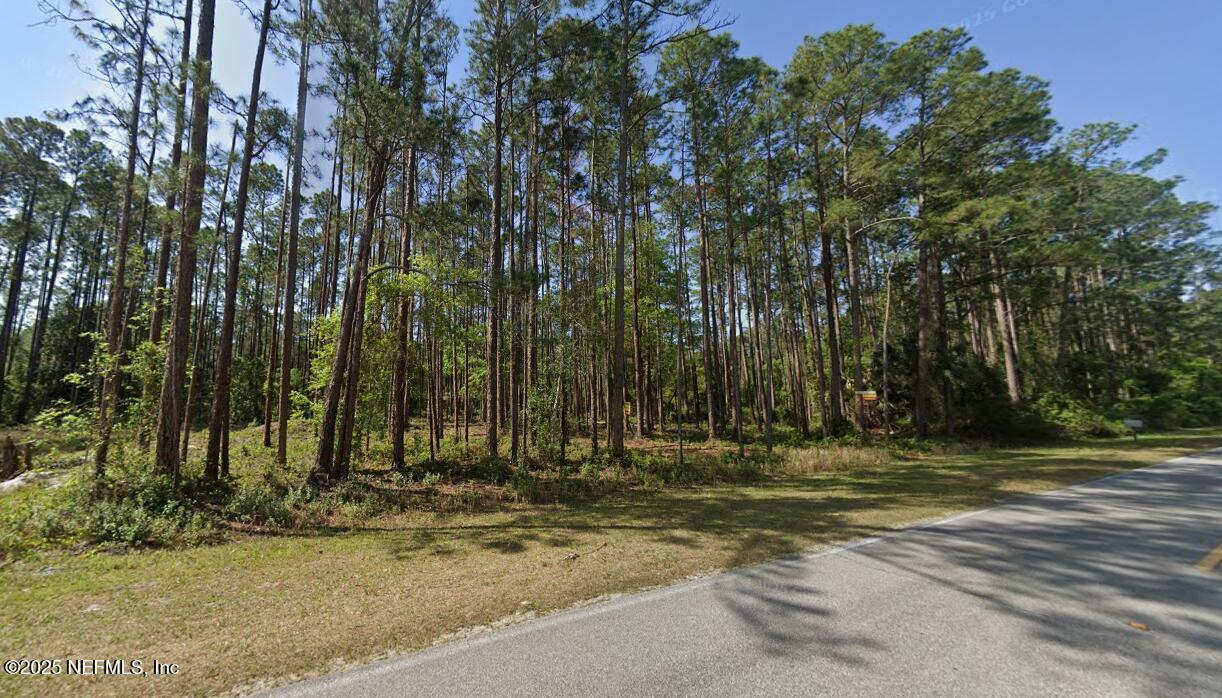 245-243 Georgetown Denver Road Georgetown, FL 32139 - Photo 1 of 10 a view of outdoor space with trees