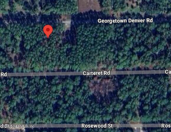 245-243 Georgetown Denver Road Georgetown, FL 32139 - Photo 3 of 10 a view of a fence