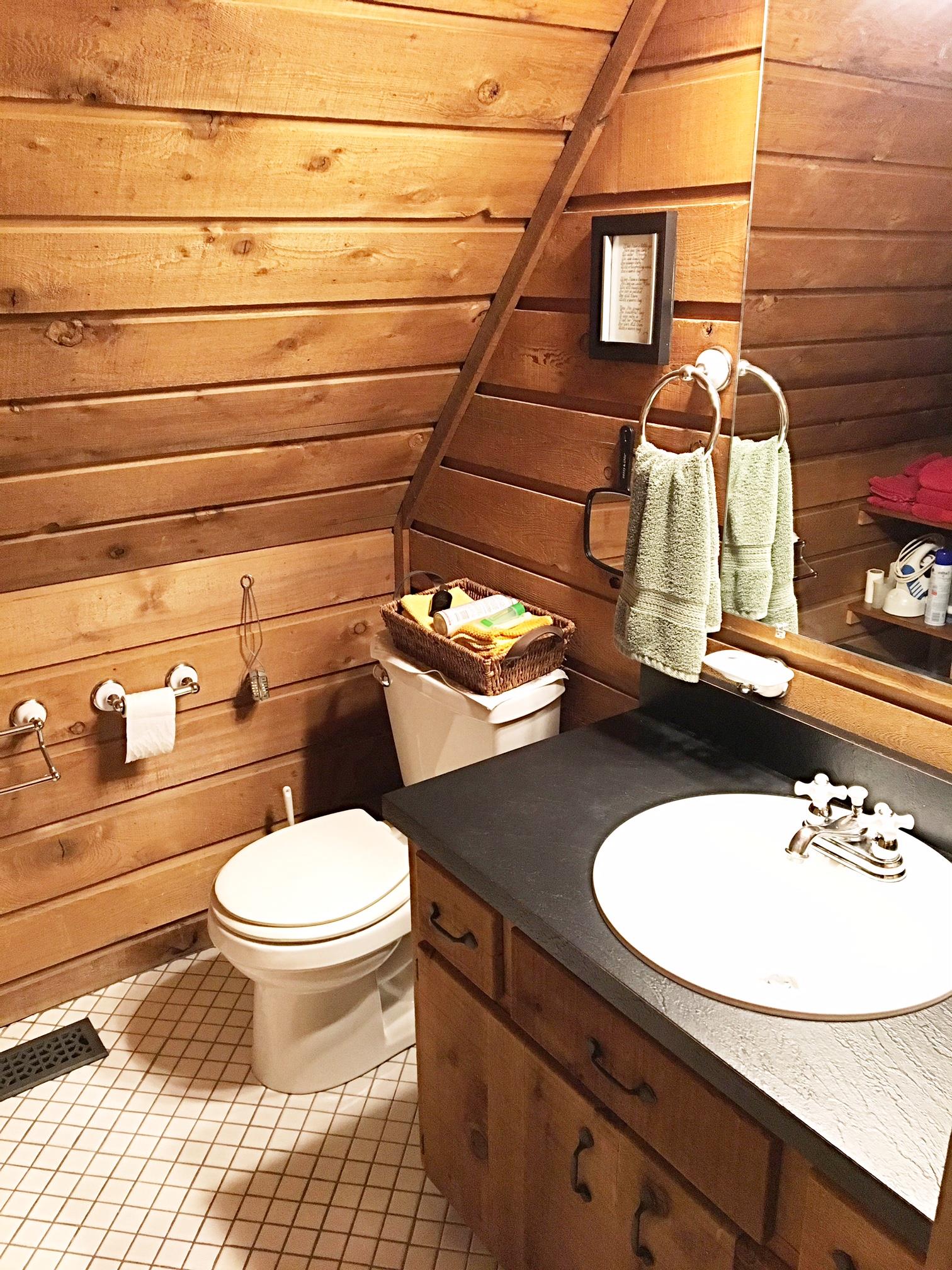 2731 New Hall Road Greenbrier, TN 37073 - Photo 20 of 30 a bathroom with a sink and a toilet