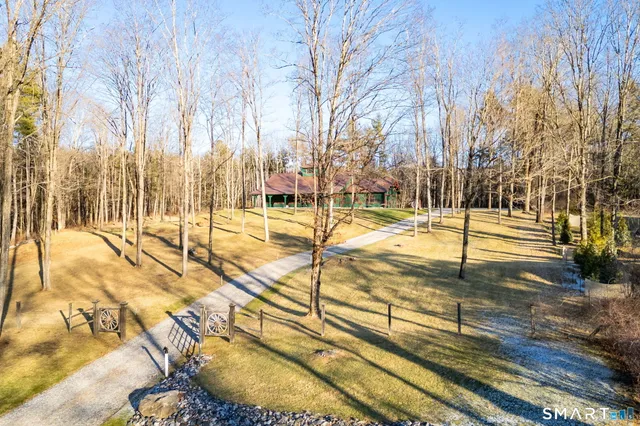 a view of a yard with trees
