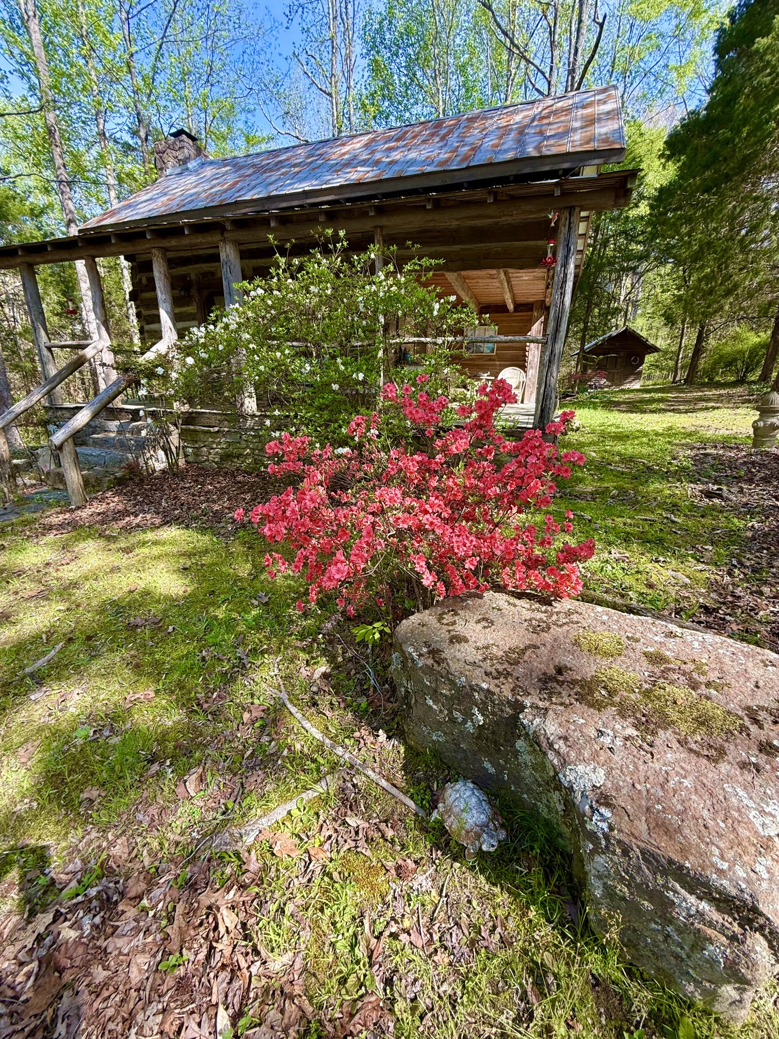 562 Junus Jackson Hollow Road Minor Hill, TN 38473 - Photo 11 of 72 a view of a backyard of the house