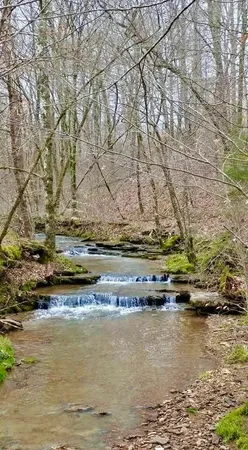 $729,000 | 562 Junus Jackson Hollow Road, Minor Hill, TN 38473