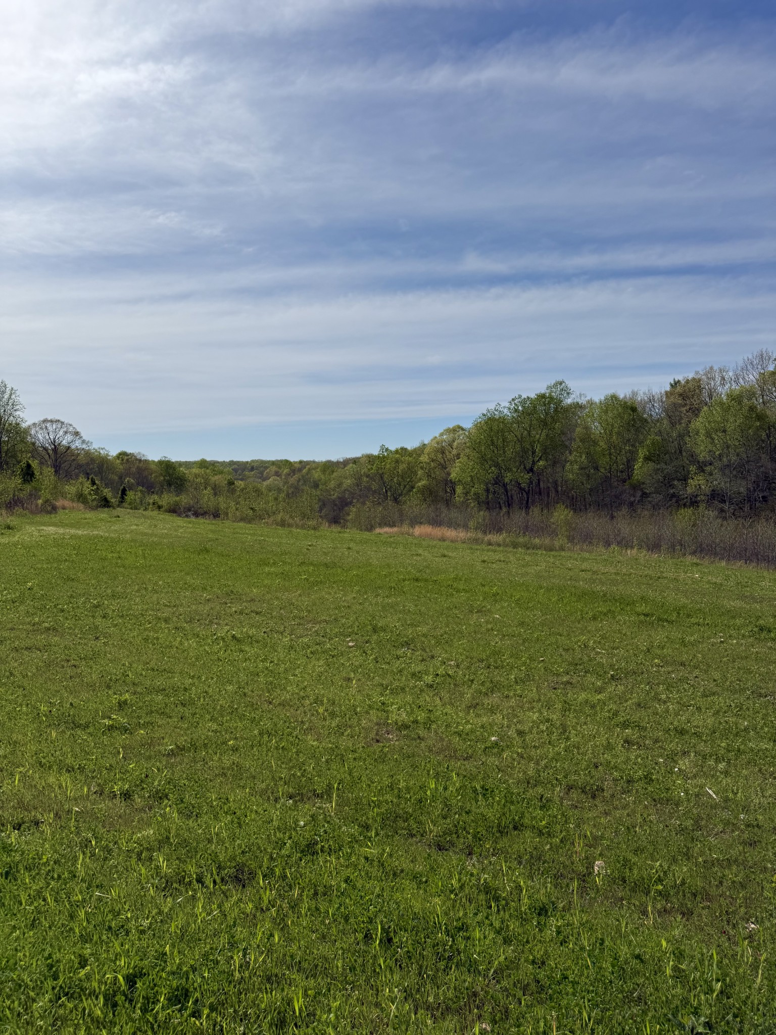 562 Junus Jackson Hollow Road Minor Hill, TN 38473 - Photo 21 of 72 a view of an ocean and beach