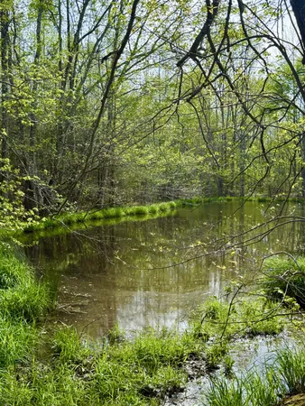 $729,000 | 562 Junus Jackson Hollow Road, Minor Hill, TN 38473